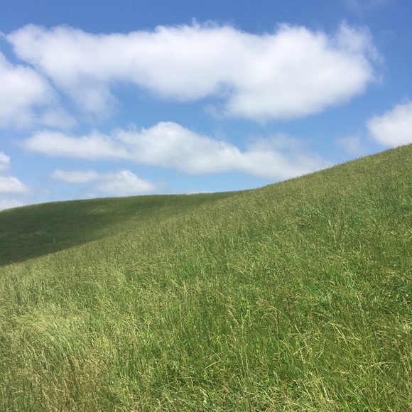 Meet your Posher, Tracey - Picture 4 of 4